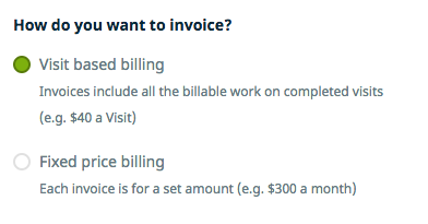How do you want to invoice options