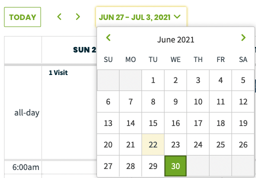 Date picker for the date range shown on the calendar