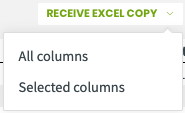 receive excel copy options for the columns of the report that is emailed to them
