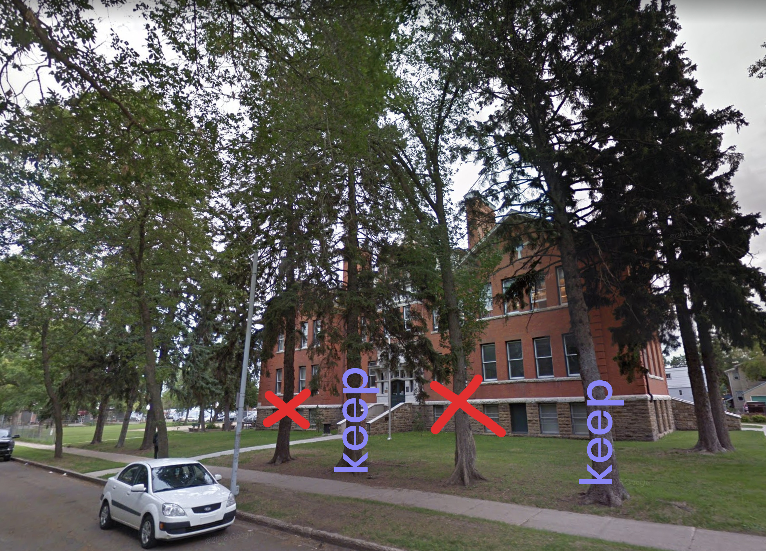 larger version of the line item image. Shows trees in a park with notes on the trees about which to keep and remove