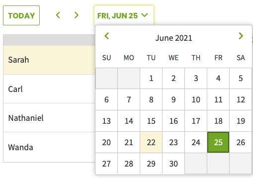 date picker showing a calendar to jump to a different date.