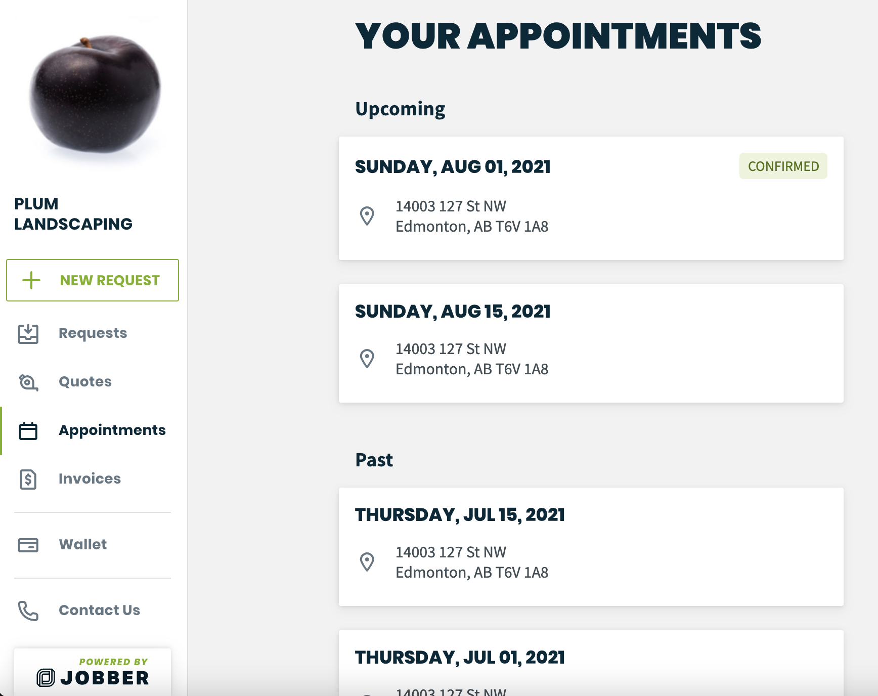 appointments tab in client hub showing upcoming and past appointments.