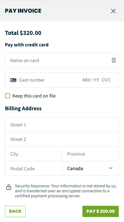 pay invoice prompt with fields to enter credit card details