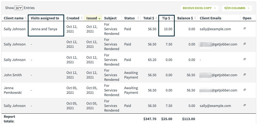 Invoices report with the columns for visits assigned to and tip $ highlighted.